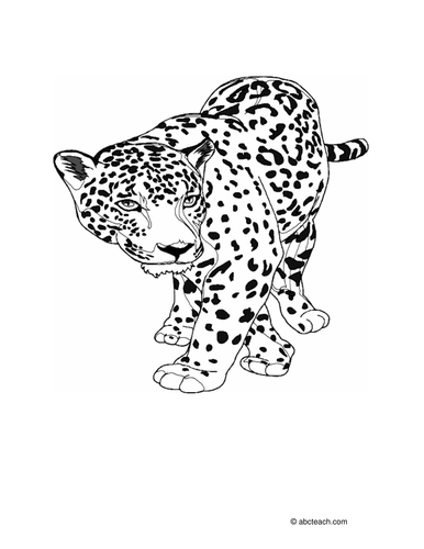 Coloring Page: Jaguar