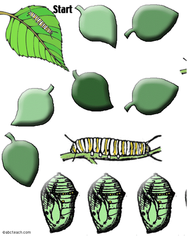 Game Board: Caterpillar (20 spaces; color version)