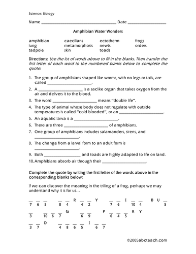 Worksheet: Amphibians (upper elem/middle)