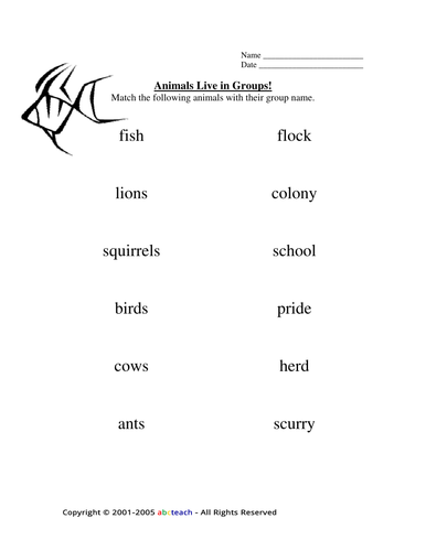 Worksheet: Collective Nouns- Animals (primary)