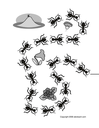 Game Board: Ants (b/w)