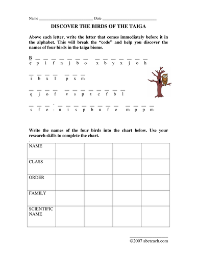 Worksheet: Decode the Taiga Birds (elem/upper elem)