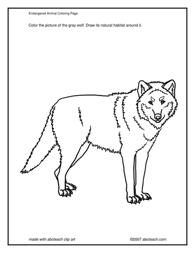 Coloring Page: Gray Wolf
