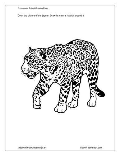 Coloring Page: Jaguar