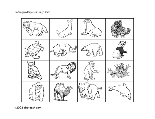 Bingo Cards: Endangered Animals (primary/elem)