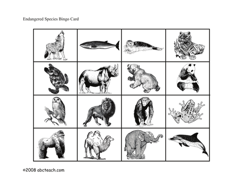 Bingo Cards: Endangered Animals (elem/upper elem)