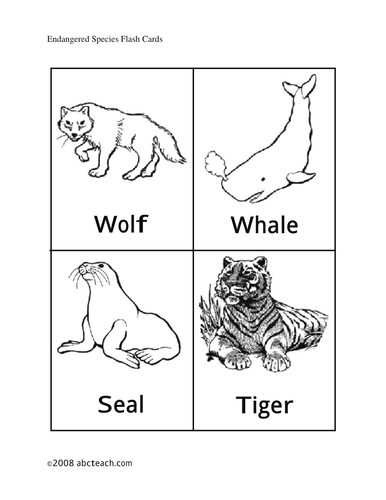 Flashcards: Endangered Animals (primary/elem)