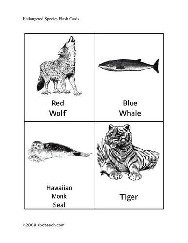 Flashcards: Endangered Animals (elem/upper elem)