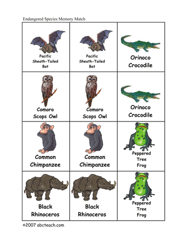 Memory Game: Endangered Animals (elem/upper elem)