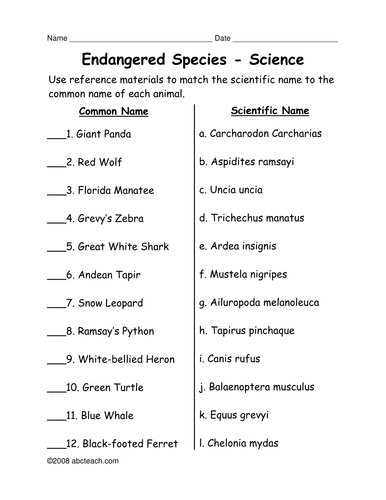 Worksheet: Endangered Animals' Scientific Names (upper elem) | Teaching  Resources