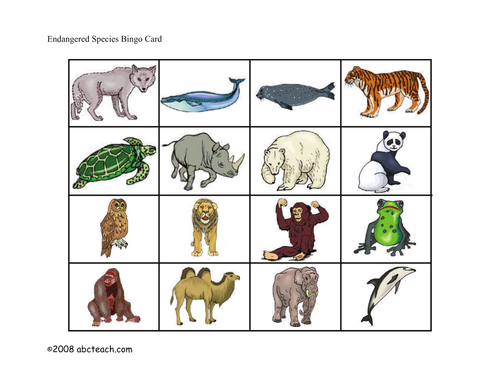 Bingo Cards: Endangered Animals (elem/upper elem) - color