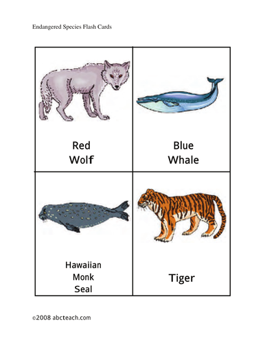 Flashcards: Endangered Animals (elem/upper elem) - color