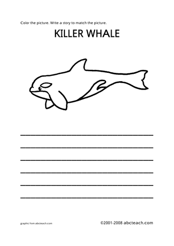 Color and Write: Killer Whale (primary)
