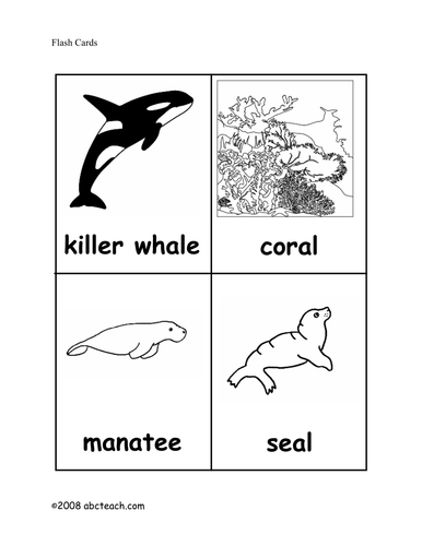 Flashcards: Ocean Animals (elem)