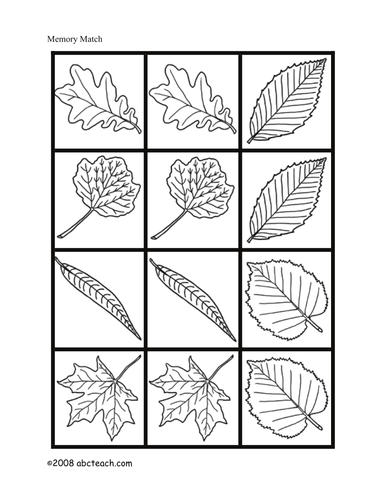 Matching: Plant Leaves (b/w)