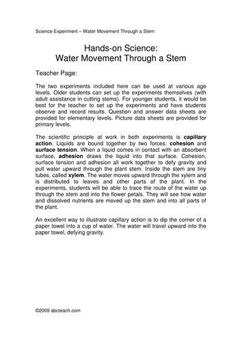 Project: Water Movement in Plants (upper elem)