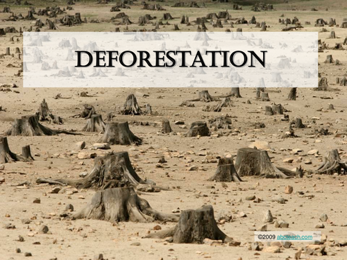 PowerPoint Presentation: Deforestation (upper elem/middle)