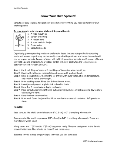 Activity: Nutrition Make Your Own Sprouts (upper elem/middle)