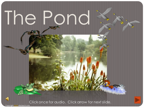 PowerPoint: Presentation with Audio: The Pond (primary)