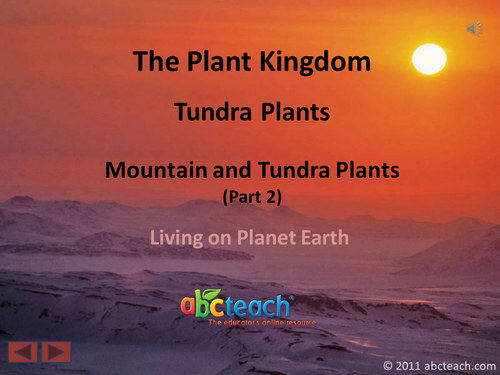 PowerPoint: Presentation with Audio: Plant Kingdom 13: Tundra Plants, Mountain and Tundra Plants Part 2:2 (upper elem/middle/high)