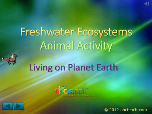 PowerPoint: Presentation with Audio: Ecosystems 5: Freshwater Ecosystems, Animal Activity  (upper elem/middle/high)