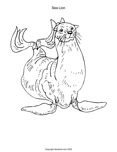 Coloring Page: Sea Animals