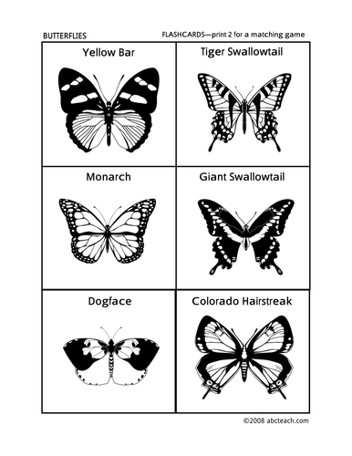 Flashcards: Butterflies (preschool/primary)