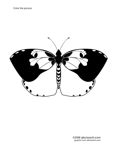 Coloring Page: Dogface Butterfly