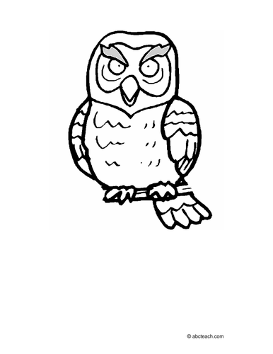 Coloring Page: Owl