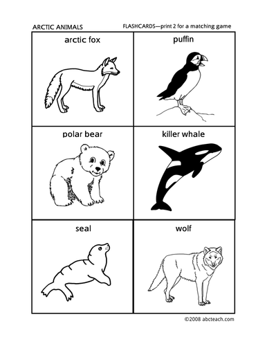 Flashcards: Arctic Animals (preschool/primary)