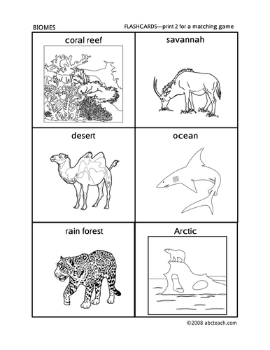 Flashcards: Biomes (preschool/primary)