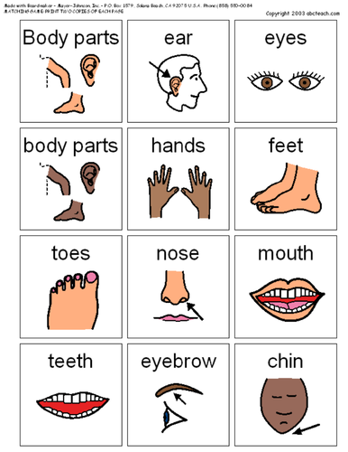 flashcards-body-parts-teaching-resources