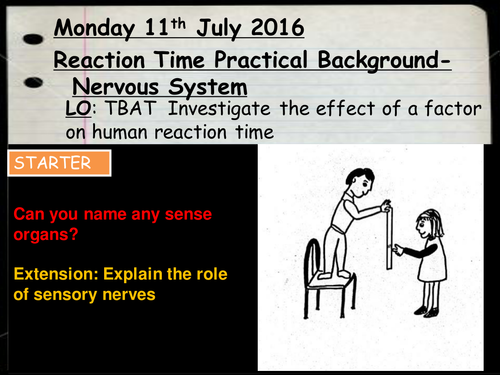 Required AQA Trilogy Practical on Reaction Time
