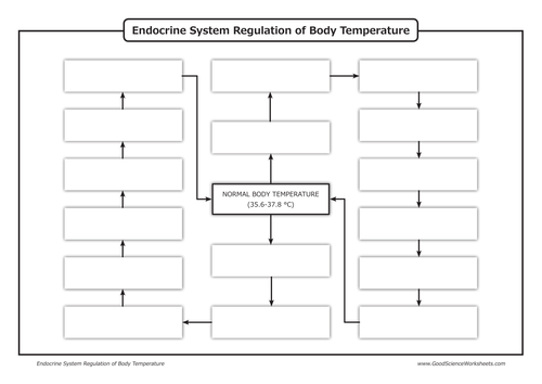 normal body temperature diagram