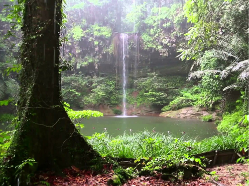 What is an Ecosystem? - AQA2016 Living World