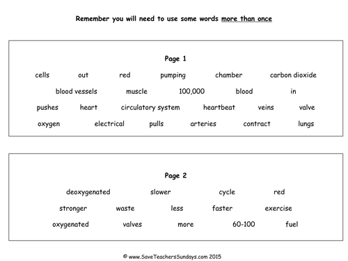 Circulatory System KS2 Lesson Plan & Worksheet