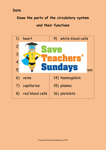 Parts of the Circulatory System  KS2 Lesson Plan and Worksheets