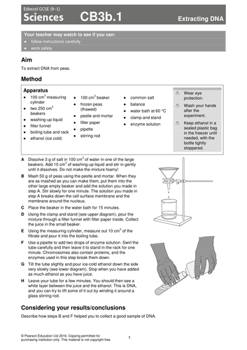 Biology topic 3 lesson 2