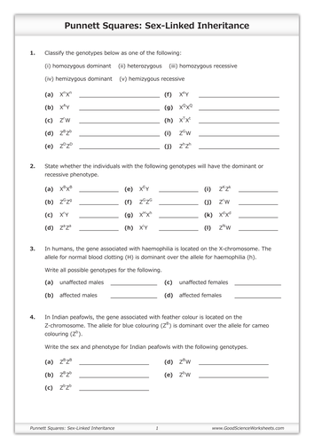 Punnett Squares Sex Linked Inheritance Teaching Resources 9400