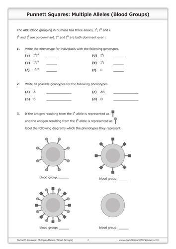 Goodscienceworksheets S Shop Teaching Resources Tes