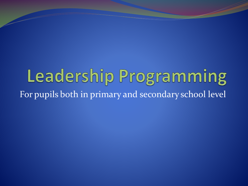 Pupils Leadership Mentoring Proposal