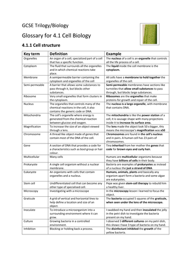 Cell structure and division by mitosis AQA Biology 4.1.1&4.1.2 Glossary. Literacy impact.