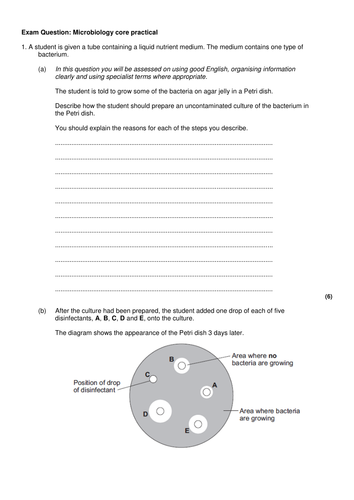 Microbiology required practical- New AQA GCSE Biology