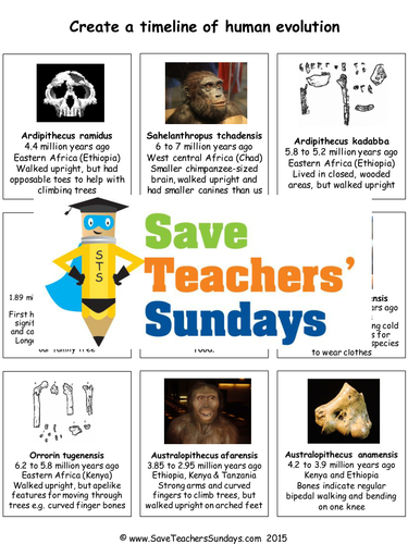 Human Evolution Timeline KS2 Lesson Plan and Worksheet