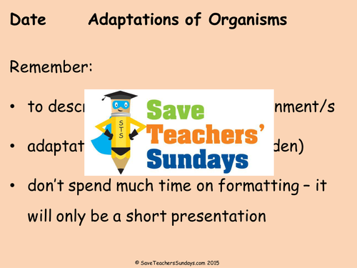 Adaptations KS2 Lesson Plan and Worksheet