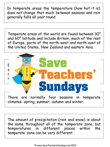 Organising Sentences into Paragraphs Lesson Plan and Worksheet