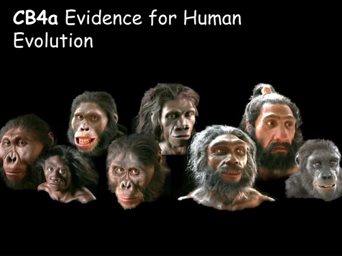 Edexcel CB4a Evidence for Human Evolution