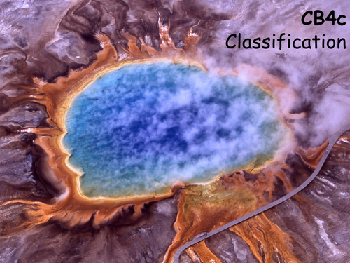 Edexcel CB4c Classification