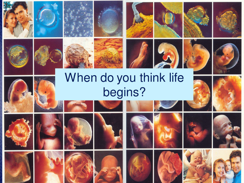 When does life begin?