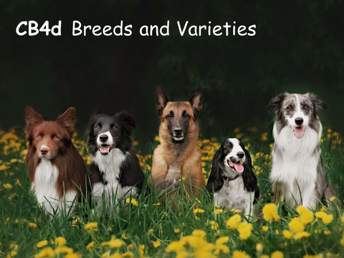Edexcel CB4d Breeds and Varieties